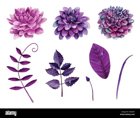 Watercolor Purple Flowers Vector Clipart Floral Clip Art Stock Vector
