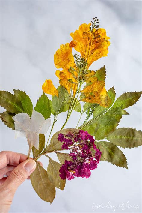 Ways To Preserve Pressed Flowers Beginners Guide To Pressing Flowers