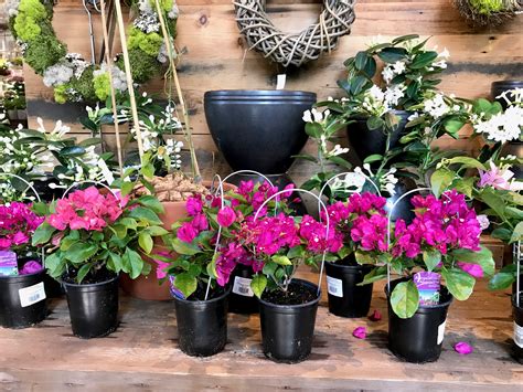 Check out these 17 may day basket ideas! DIY May Day Baskets | Most Lovely Things