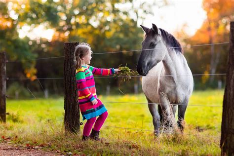 8 Signs You Were A Horse Crazy Kid