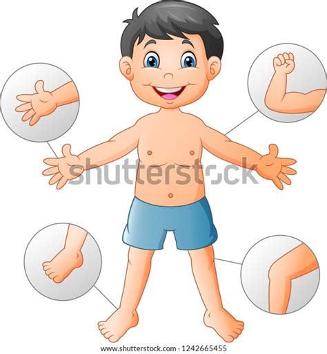 Cartoon Boy Vocabulary Human Body Stock Vector Royalty Free