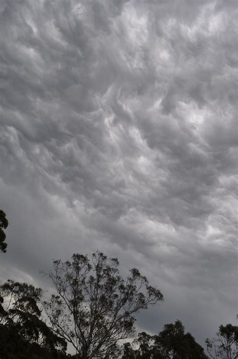 Mimpi melihat langit mendung merupakan gambaran datangnya kegelapan menyelimuti masa depan anda. Gambar : alam, hitam dan putih, langit, suasana, cuaca ...