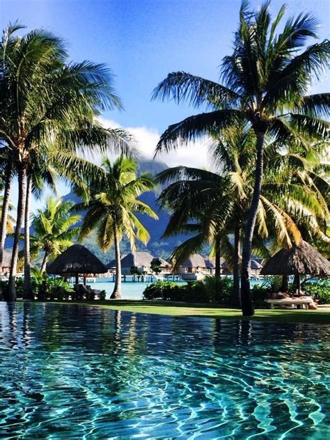 Four Seasons Resort Bora Bora בורה בורה פולינזיה הצרפתית חוות דעת