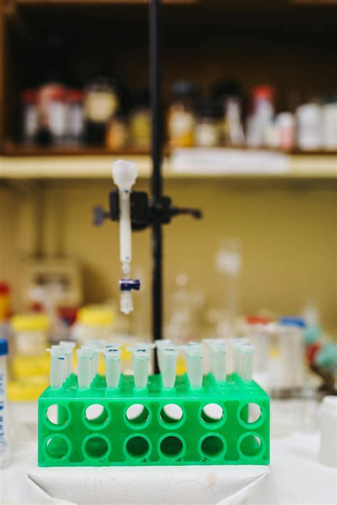 Test Tubes In Laboratory · Free Stock Photo