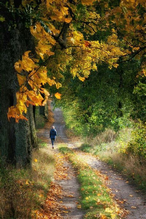 Pin By Merve Özenir On Autumn Nature Photography Autumn Scenery