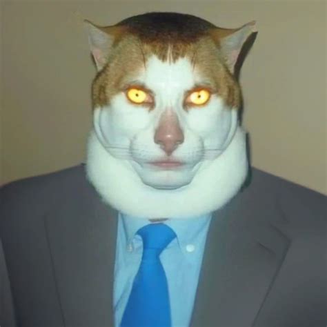 Gato Cat Suit Terno Gravata Meme Goofy Pictures Funny Profile Pictures Funny Reaction