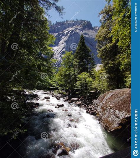 Alpine River Flowing Through Forest Stock Image Image Of Scenic