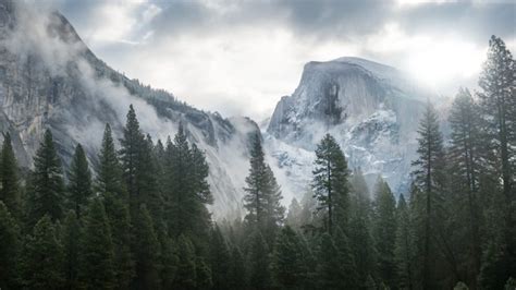 Yosemite National Park Forest Mountains Clouds Landscape Nature Hd