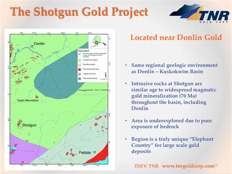 Kirill Klip Tnr Shotgun Gold Project In The Alaskan Elephant Country