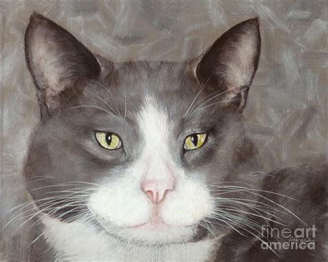 Grey Cat Painting At Explore Collection Of Grey