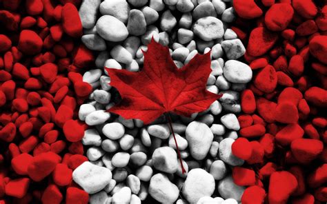 Download Canada Flag Maple Leaf Wallpaper