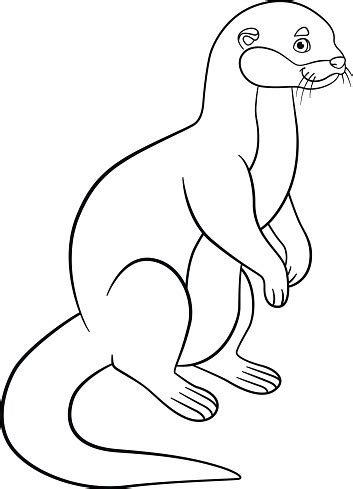 Chibi otter stickers and magnets | etsy. Coloring Pages Little Cute Otter Smiles Stock Illustration ...