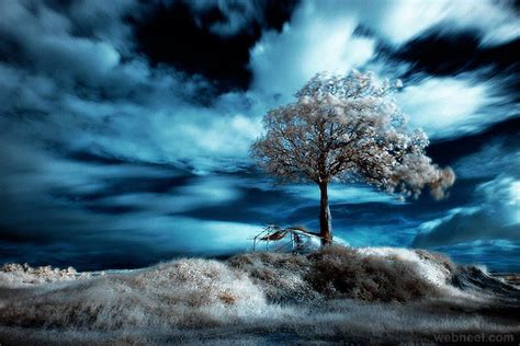 40 Most Beautiful Infrared Photography Examples For Your