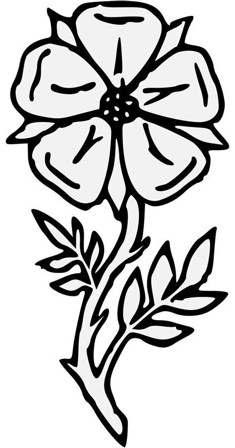In the tattoo trade, this transfer method from the design to the skin is called a stencil and there are many different ways it can be done. Poppy clipart traceable, Poppy traceable Transparent FREE ...