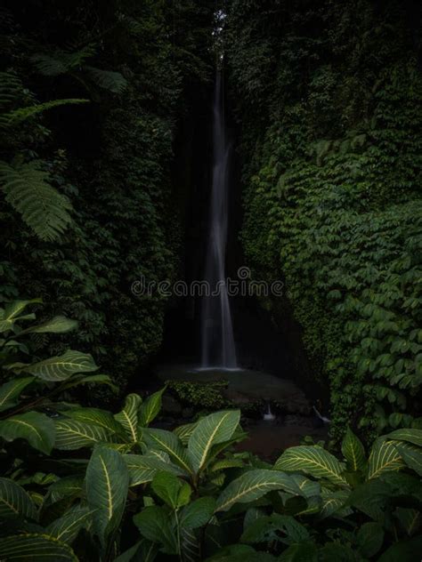 Tropical Rainforest Lush Green Jungle Hidden Waterfall Air Terjun Leke