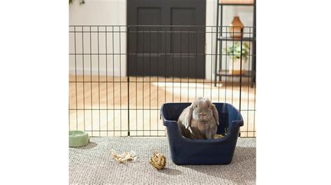 Best Rabbit Litter Box Keep Your Pet And Your Home Clean Petsradar