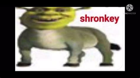 Shronkey Youtube