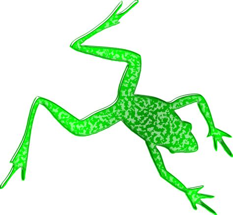 Frog Silhouette Clip Art Amphibian Png Download 24002216 Free