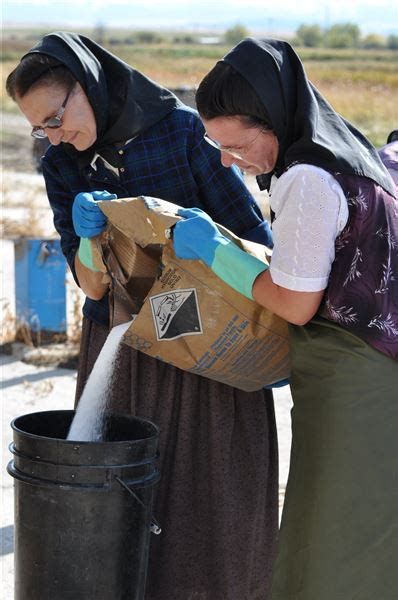 American Colony Meet The Hutterites The Blade