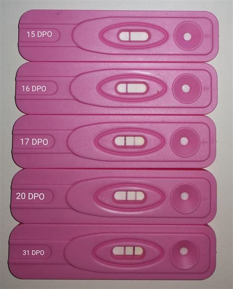 false positive dollar tree pregnancy test - Toshia Krueger
