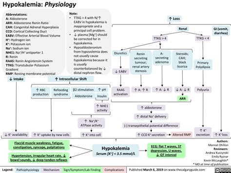 Hypokalemia Physiology Calgary Guide Artofit