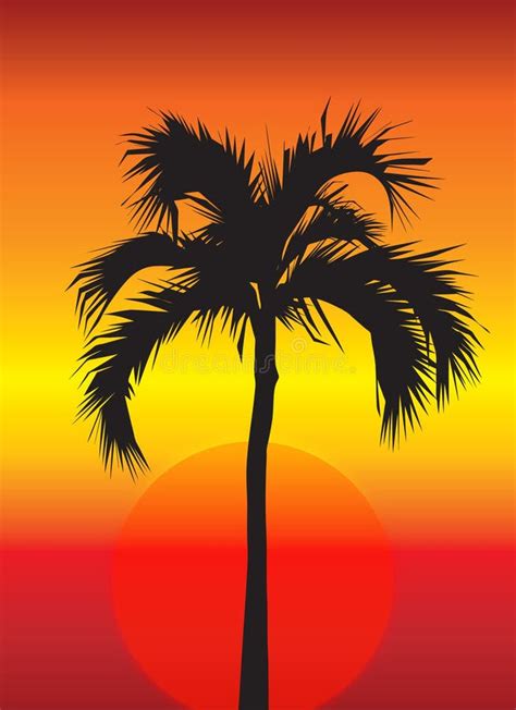 Palm Tree Sunset Drawing Stock Illustrations 3363 Palm Tree Sunset
