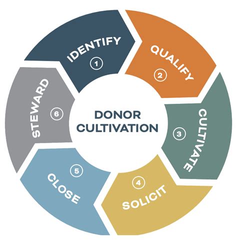 donor cultivation and stewardship key steps in the donor cycle creative fundraising advisors