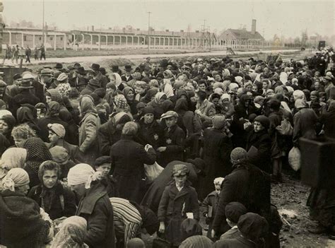 Originally, it had more photos, but before being donated to yad vashem (the holocaust museum in israel), some of them were given to survivors who. The Auschwitz Album - Selection