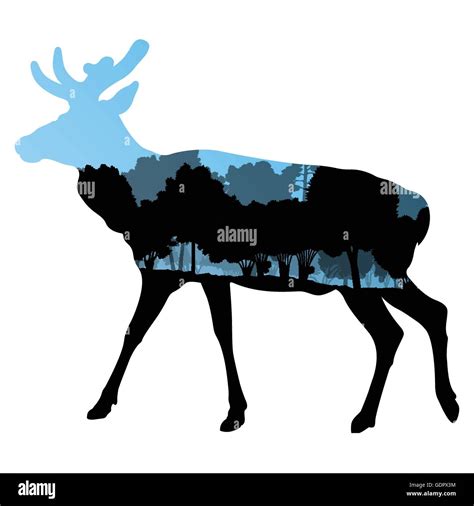 Deer wild animal silhouette in nature forest landscape abstract