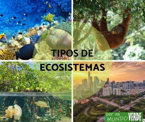 73 Tipos De Ecosistemas Clasificación Y Ejemplos【2021】
