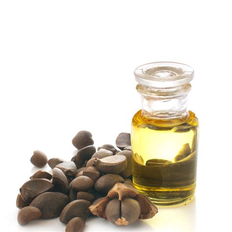 Sometimes it is sold for use as a face or hair oil. Camellia Seed Oil | Purple Citrus