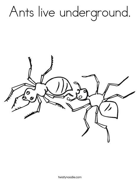 They live together in colonies, where they busily work together to feed and protect their queen and larva. Ants live underground Coloring Page - Twisty Noodle