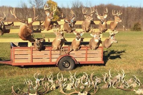 Massive Deer Poaching Case Joined By Aclu Citing Warrantless Gps