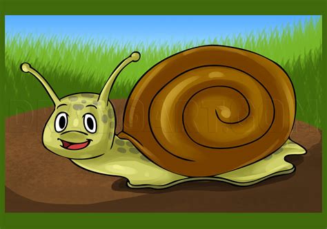 Draw a short curved line downwards from where the original lines connect. How To Draw A Cartoon Snail by Dawn | dragoart.com