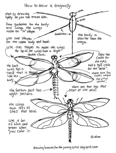 Printable How To Draw A Dragonfly