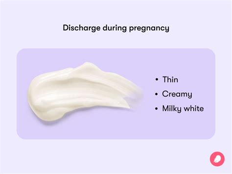 Creamy Discharge