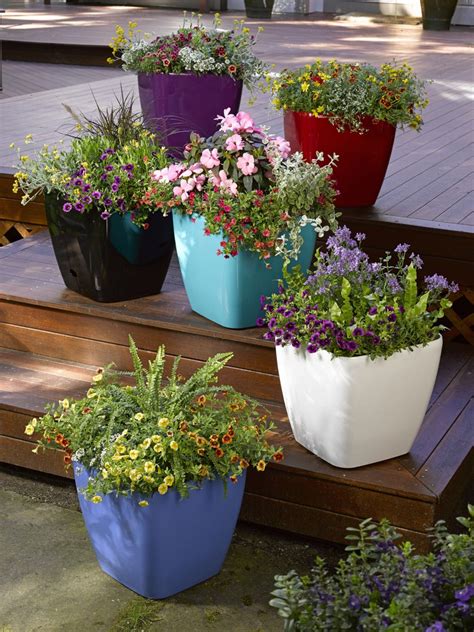24 designer plant lists for beautiful container garden plantings & colorful mixed flower pots combinations. 5 Easy Ways to Create a Stunning Vegetable Garden