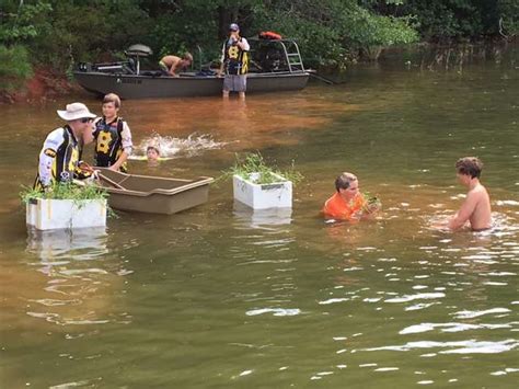 Check spelling or type a new query. Georgia Nation restores West Point Lake vegetation ...