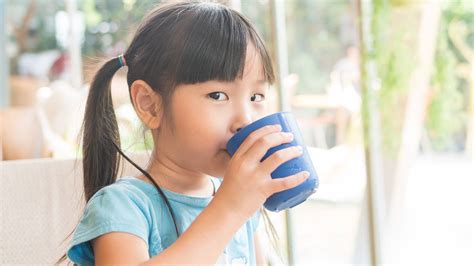 The airistech herbva nokiva is a compact and discreet dry herb vape. How to Help Your Kids to Drink More Water