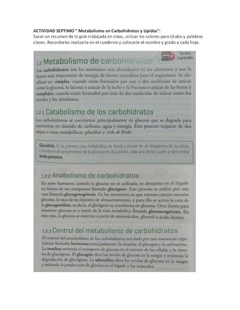 Pdf Guia Bio Metabolismo En Carbohidratos Y Lipidos Hot Sex Picture