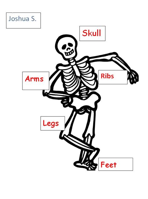 Label The Skeleton Bones K 5 Computer Lab Skeleton For Kids