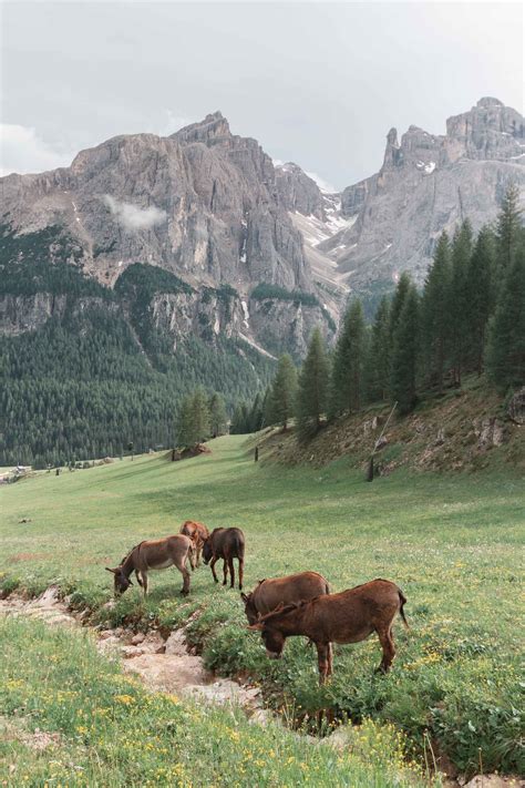 Hiking In The Dolomites 4 Days Complete Itinerary Dolomites Dream