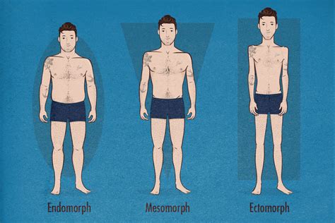 Male Body Types Chart