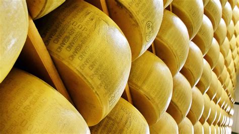 Serve davvero a farsi il vino a casa? Come si fa il formaggio? Il Parmigiano Reggiano spiegato ...