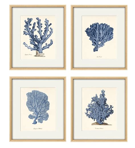 Blue Sea Coral Art Nautical Art Print Set Old Prints Ocean Etsy