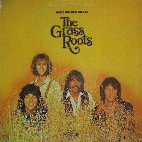The Grass Roots More Golden Grass 1970 Vinyl Discogs