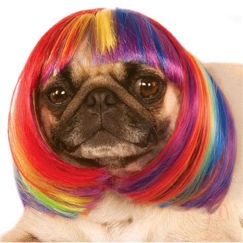Rainbow Dog Costume Ubicaciondepersonascdmxgobmx