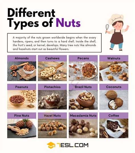 Common Nut Types