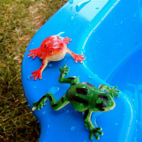 The Amazing Spitting Frog Toys Seedling Best Water Play Ideas
