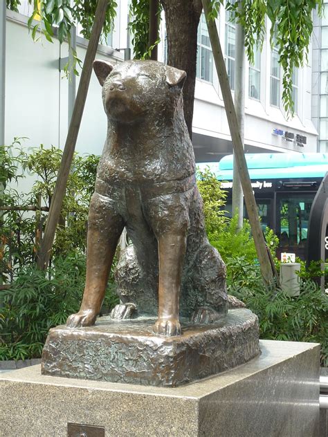 The Statue Of Hachi The Faithful Dog Outside Shibuya Station In Tokyo